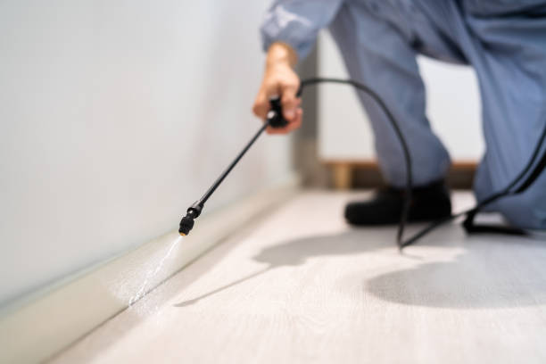 Rodent Entry Point Assessment in Ontario