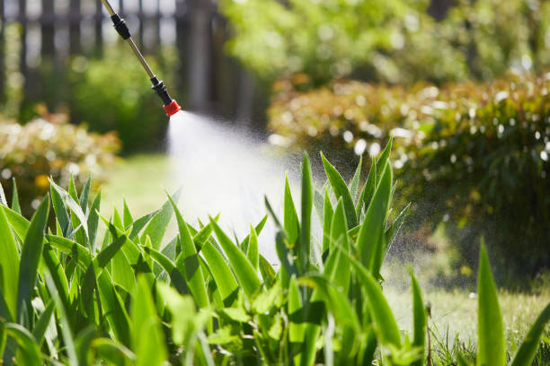 Tamper-Resistant Bait Stations for Rodents in Ontario